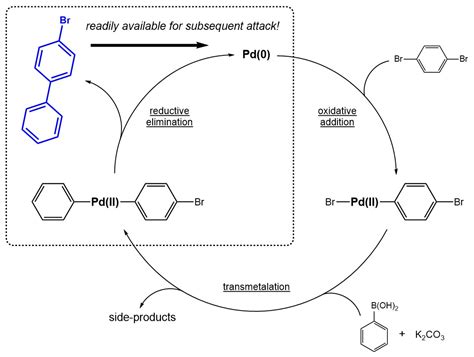 Highlights on the General Preference for Multi-Over Mono-Coupling in the Suzuki–Miyaura Reaction
