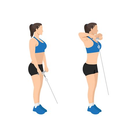 Woman doing Cable upright rows exercise. Flat vector illustration ...