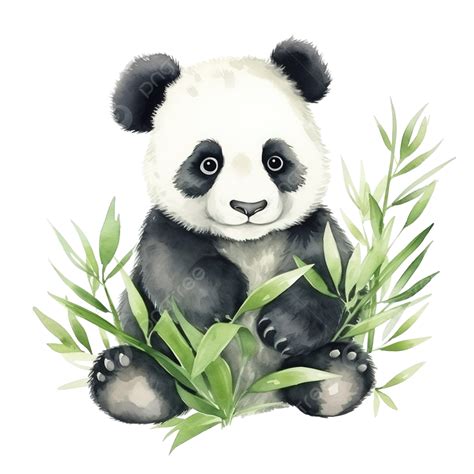 Watercolor Panda Cute Clip Art, Panda, Watercolor, Wild PNG Transparent ...