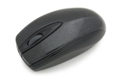 Image result for Computer Mouse Front View