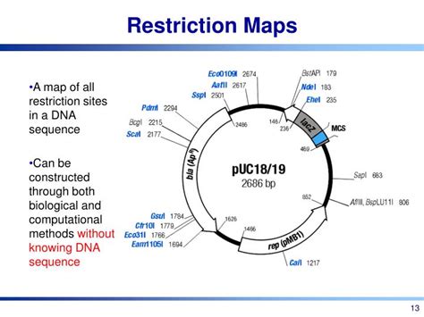 Circular Restriction Mapping 的图像结果