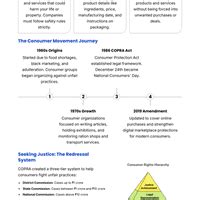 Infographics: Consumer Rights - Social Studies (SST) Class 10 PDF Download
