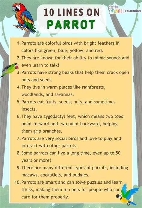Parrot Sentence Examples - Infoupdate.org