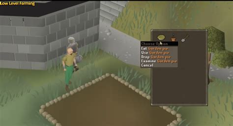 Image result for OSRS Farming Run Guide