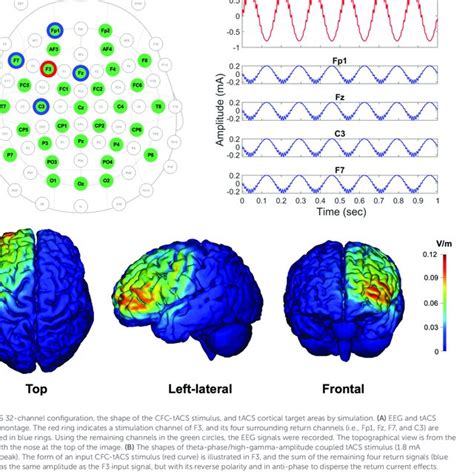 Transcranial Alternating Current Stimulation 的图像结果