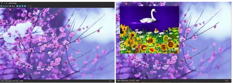 Import Image in Python 的图像结果