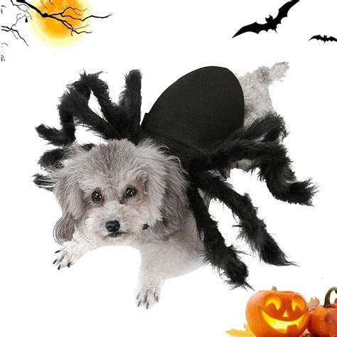 Halloween Spider Costume for Dogs & Cats - Realistic Spider Outfit for ...