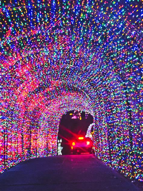Illuminate Your Holidays: Raleigh's Spectacular Christmas Light ...