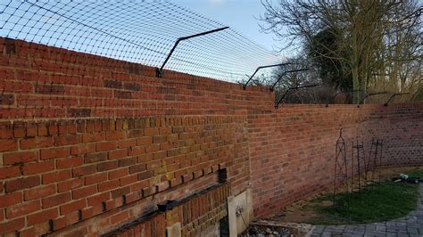 Cat-Proof Brick Wall Fence