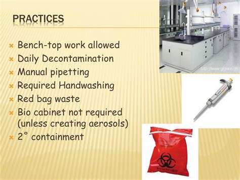 Image result for Biosafety level Types