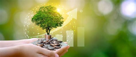 Green Finance 的图像结果