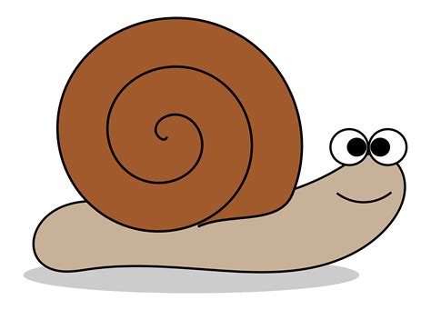 Snail Clipart Pictures – Clipartix