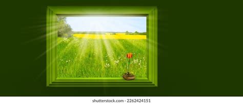 Image result for Springtime View