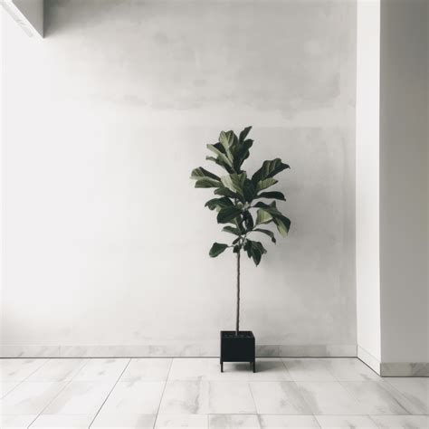 Save time on uploading Background Minimalist Minimalist