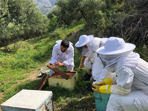 Chaniotakis Beekeeping (Heraklion) - 2022 What to Know Before You Go ...