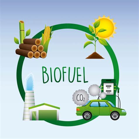 Bioenergy Picture Example 的图像结果