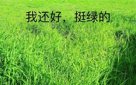 苏打绿做客互揭录音怪癖 十月将在北京开个唱_娱乐_腾讯网