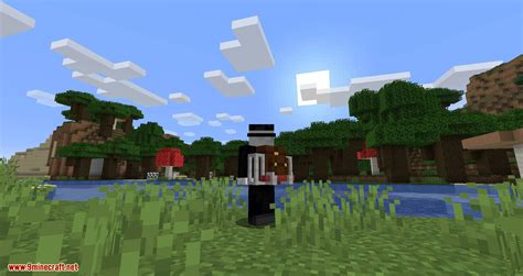 Backpack Mod 1.16.5 的图像结果