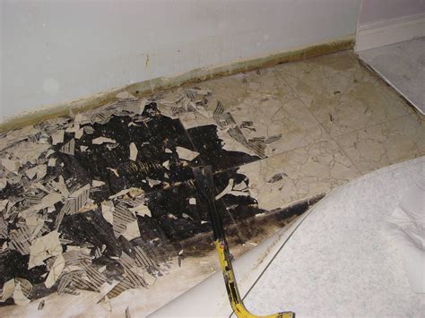 6 Pics How To Remove Vinyl Flooring Adhesive From Subfloor And ...