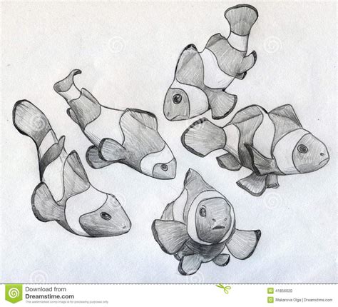 Illustration about Sketch of five little clown fishes drawn by hand ...