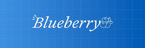 Blueberry Skincare: Glowing, Brightening Face Masks - Bayla Skin