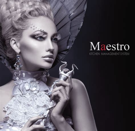 Maestro Kitchen Management System - SSS Industrial kitchen ventilation