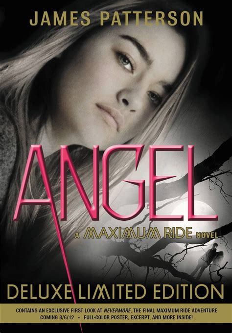 Maximum Ride Dylan Vs Fang