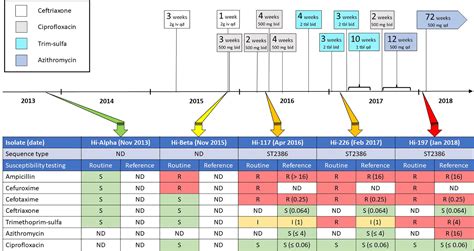Frontiers | Case Report: Whole-Genome Sequencing of Serially Collected Haemophilus influenzae ...