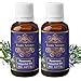 Exotic Aromas Rosemary Oil for Hair Growth,Essential Oil for Hair Fall ...