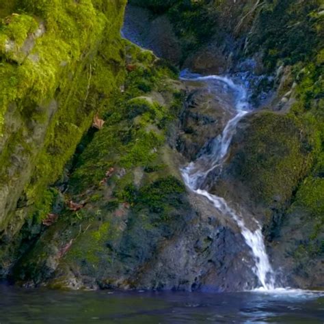 Image result for Water Stream ASMR