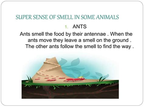 Class 5th Science Chapter Super Sense 的图像结果