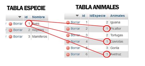 Image result for PHP MySQL INNER Join