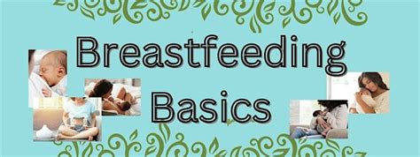 Breastfeeding Basics, New Birth Company, Overland Park, 20 March 2024 ...
