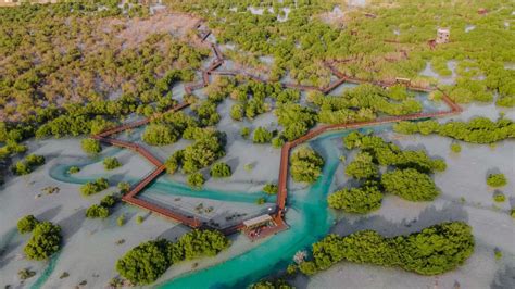 UAE: Abu Dhabi launches 'World's Richest Seas' initiative to increase ...