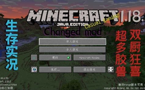 Minecraft Changed Mod Gameplay 的图像结果