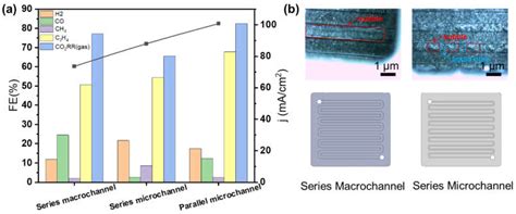 A Membrane Reactor with Microchannels for Carbon Dioxide Reduction in ...
