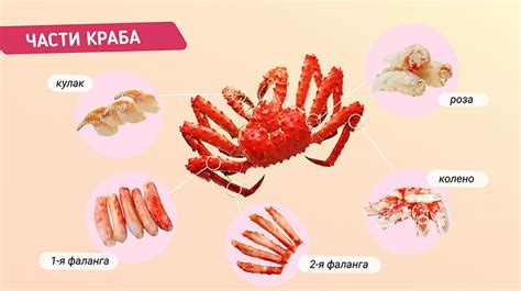 Какая часть краба самая лучшая? - Статьи и лайфхаки от Деликатеска.ру