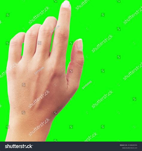 Camera Hand Greenscreen 的图像结果