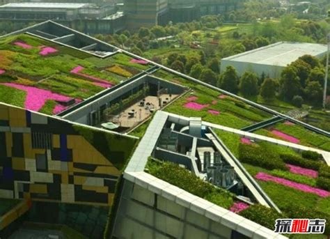 Image result for Prototype Example Project Environmental Science