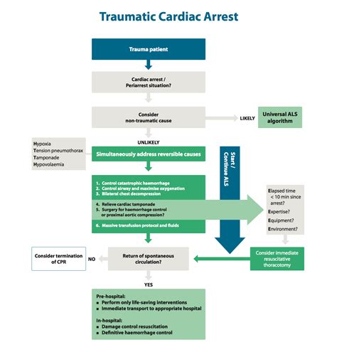 Traumatic cardiac arrest | fan of EM
