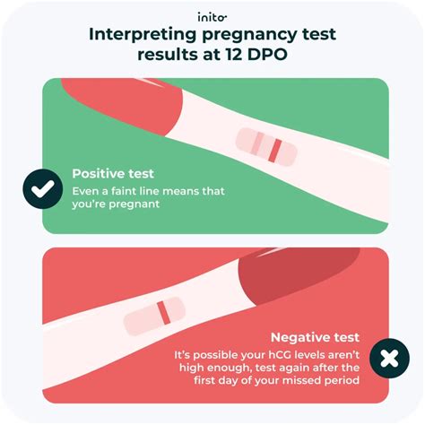 Pregnancy Symptoms at 12 DPO: What To Expect