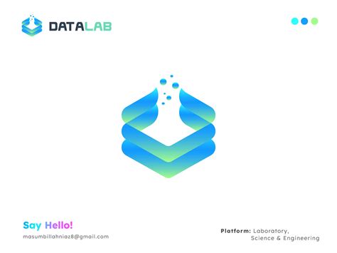 Data Test Logo 的图像结果