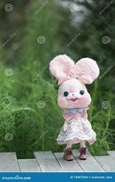 Image result for Cute Bunny Doll