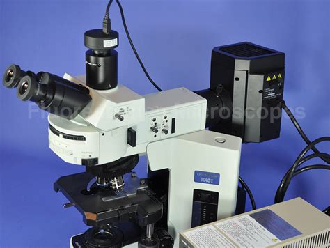 Fluorescence Microscope 的图像结果