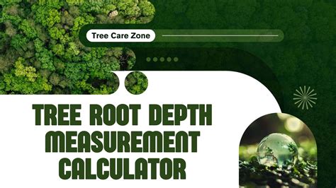 Tree Root Depth Measurement Calculator for Trees