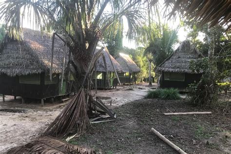 JUNGLE TOURS: AYAHUASCA & KAMBO RETREAT CENTER (2026) All You Need to ...