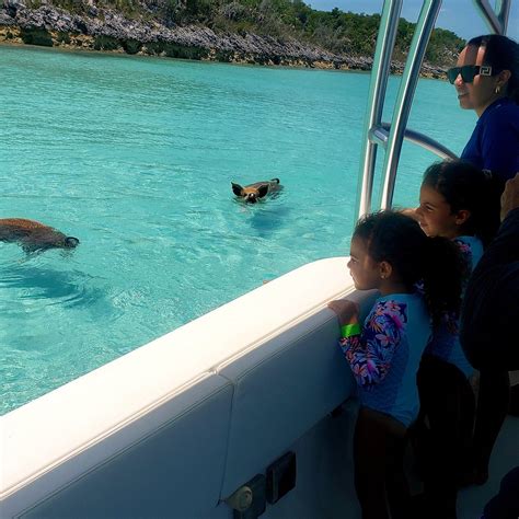 EXUMA TRIPS AND TOURS (Updated 2026) All You Need to Know BEFORE You Go ...