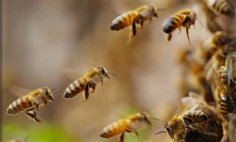 Unity FM Lira - We Inform, Educate, and Inspire