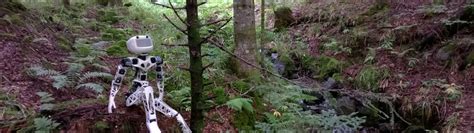 Humanoid Robotics Project 的图像结果