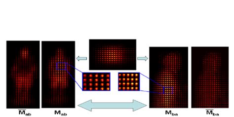 Image result for M-Matrix